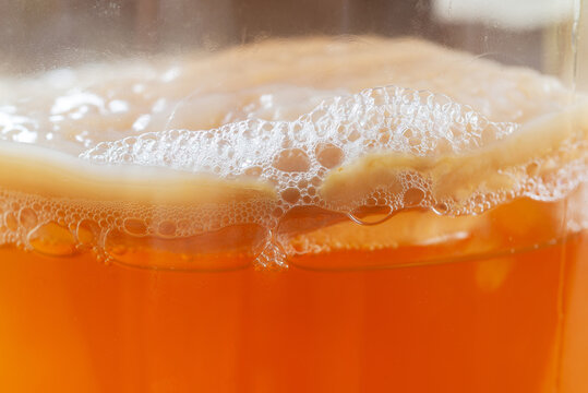 Kombucha SCOBY "symbiotic culture of bacteria and yeast" with air bubbles in a glass bottle jar,homemade fermented drink..