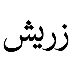 Zareesh Muslim Girls Name Naskh Font Arabic Calligraphy