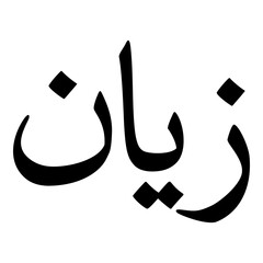 Zayaan Muslim Girls Name Naskh Font Arabic Calligraphy