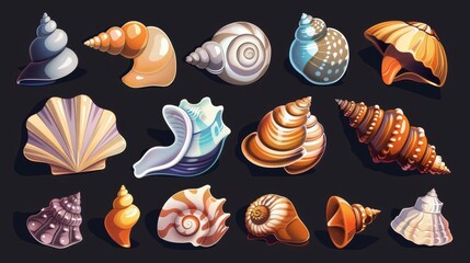 Seashells isolated on black background. Illustration of colored mollusks, snails, oyster shells, marine beach and seabed design elements, exotic souvenir collection.