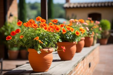 Fototapeta na wymiar Colorful flowers on balcony with warm, inviting hues, creating a charming atmosphere