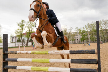 Equestrian event, rider and horse mid-obstacle course.