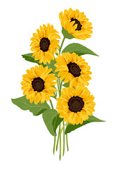 Realistic sunflower png sticker, botanical illustration on transparent background