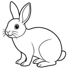 white rabbit on white