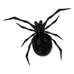 Png black spider sticker, transparent background