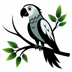 Stunning Black and White Parrot Perched on Tree Branch