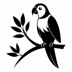 Stunning Black and White Parrot Perched on Tree Branch