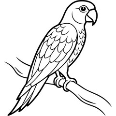 Stunning Black and White Parrot Perched on Tree Branch