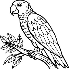 Stunning Black and White Parrot Perched on Tree Branch