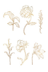 Gold floral outline set transparent png