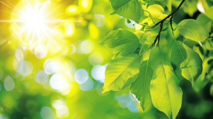 bright green foliage on a sunlit tree branch, 