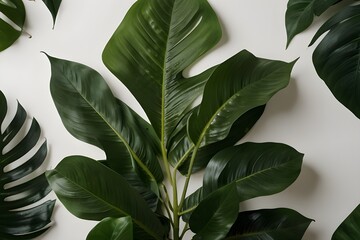 closeup tropical green leaf background. Flat lay, fresh wallpaper banner concept Generator AI 