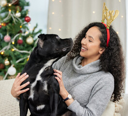 Dog, Christmas and home with woman, love and celebration in lounge or living room. Pet, festive...