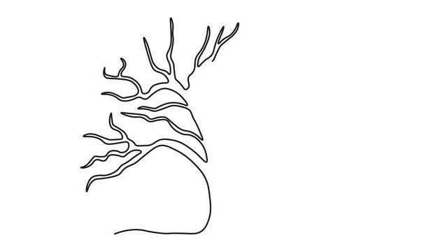 Self drawing animation with one continuous line draw, logo, abstract Sprawling Tree without Leaves, Oak
