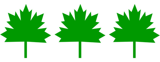 Maple Green Leaves icon collection isolated on transparent background. vector illustration