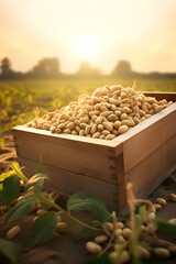 Soya beans harvested in a wooden box in a plantation with sunset. Natural organic fruit abundance. Agriculture, healthy and natural food concept. Vertical composition. - obrazy, fototapety, plakaty