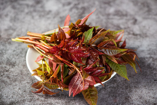 Toona sinensis or Chinese toon on table.