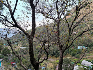 Nainital, Uttarakhand