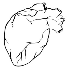 Vintage out line human heart old school old school tattoo png icon
