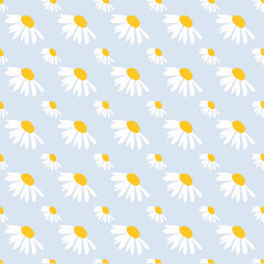 daisy flowers seamless pattern, textiles, meadow and hand drawn daisy flower on blue backgrounds vector illustration