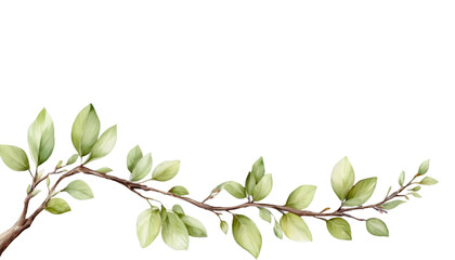 Fototapeta premium branch with leaves