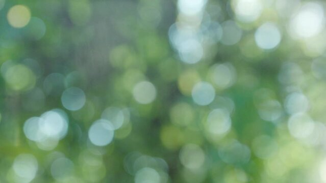 森の木漏れ日と日差し緑の背景　クリスタルのきれいなキラキラ光り輝く大小の明るいボケの回転の背景　自然・レンズボケ・効果・太陽・宝石・ウエディング・パーティーのイメージ