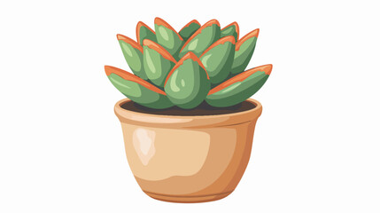 House plant in clay pot. Succulent natural green home