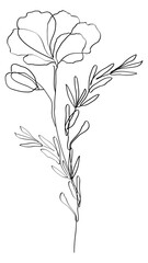 Poppy png flower black feminine line art illustration