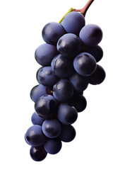 Fototapeta premium black grape dark blue grape isolated on white background. With clipping path. Full depth of field