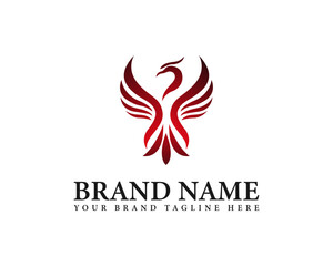 Eagle bird isolated company or brand identity logo design. Heraldic flying falcon bird vector illustration.
