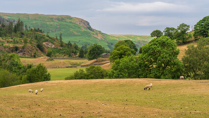 Landscape in the Lake District near Thirlmere, Cumbria, UK