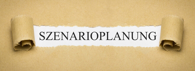 Szenarioplanung