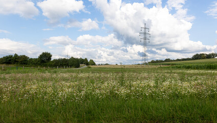 A tall power pole stands in a field with a cloudy sky in the background