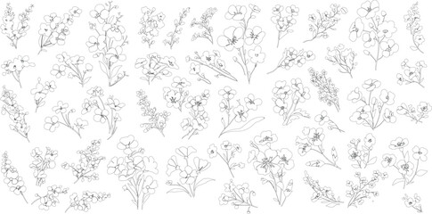 line art flower clipart for graphic resources