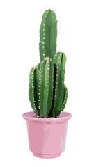 Cactus plant PNG clipart on transparent background