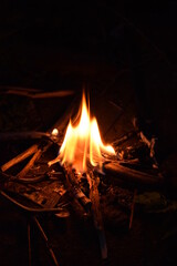 Small fire in the dark forest