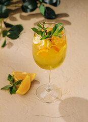 Refreshing citrus cocktail with mint garnish