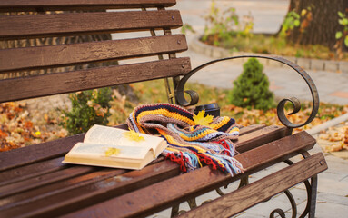 Book and scarf on wooden bench in autumn park.