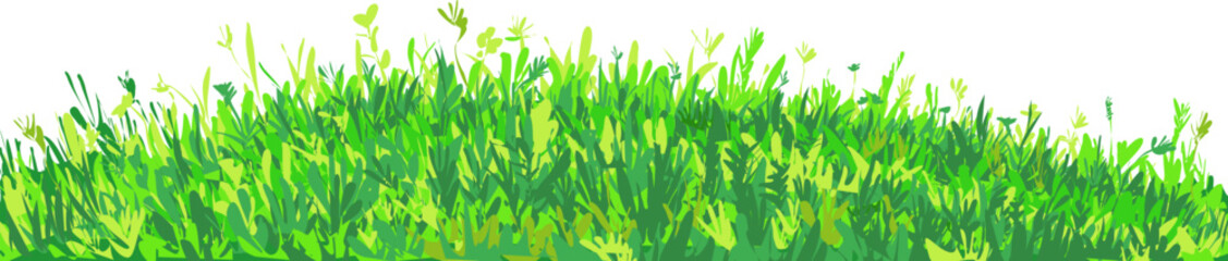Vector illustration background box for insertion. Grass meadow meadow on transparent background. Vector illustration multigrass field slide semicircle for banner website and insert objects. 