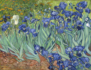 Irises by Vincent van Gogh, 1889
