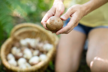 hand of a woman holding a mushroomnear a basket