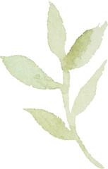 Green Leaf Branch Watercolor illustration for card website, application, printing, document, poster design, etc.