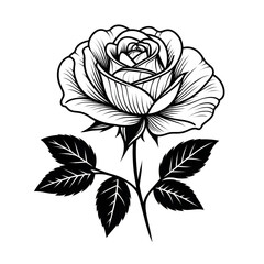 rose flower outline.