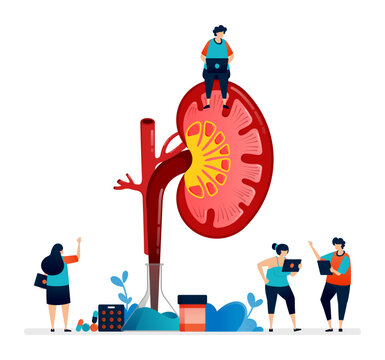 SVG illustration design for kidney disease and treatment. detail inside the kidney for research, education and medicine