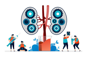 SVG illustration design for kidney disease and treatment. mechanisms in the kidney for laboratory research and education