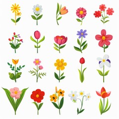 Stock Flower Icon Set, Garden Matthiola Incana Flower Flat Design, Abstract Stock Flower Symbol, Simple Flowers