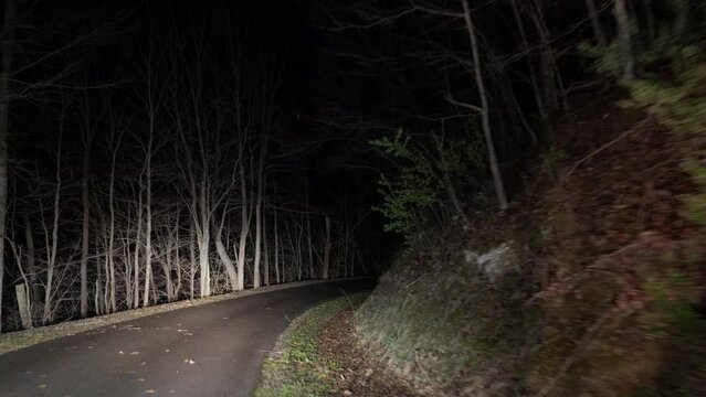 Scary woods in Appalachia at night on winding road