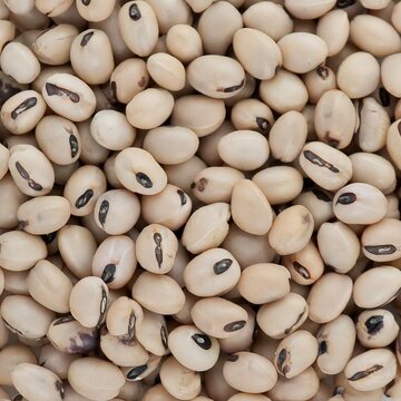 Black-eyed Beans