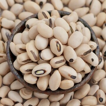 Black-eyed Beans