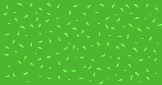 4k animated video of green fresh leaves. Animation on an eco theme. Natural background light spring. Summer organic. Infinitely looping video. Dark greens evkalipt leaf. Seamless looping image footage